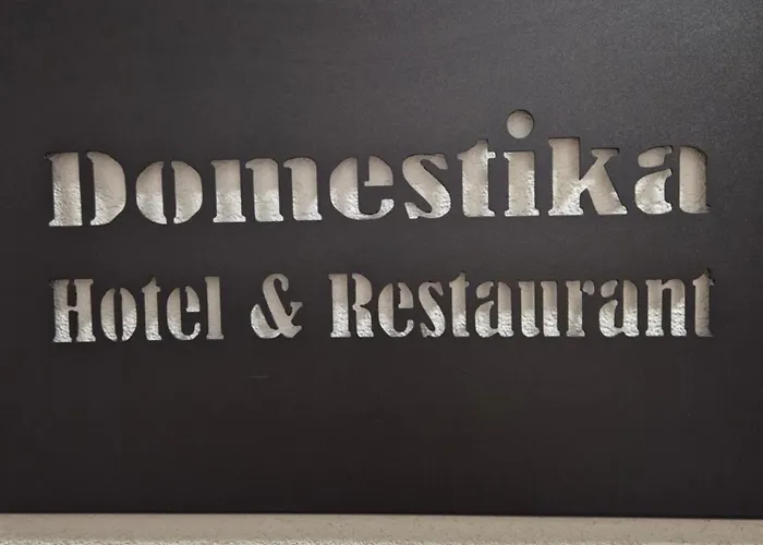 Domestika